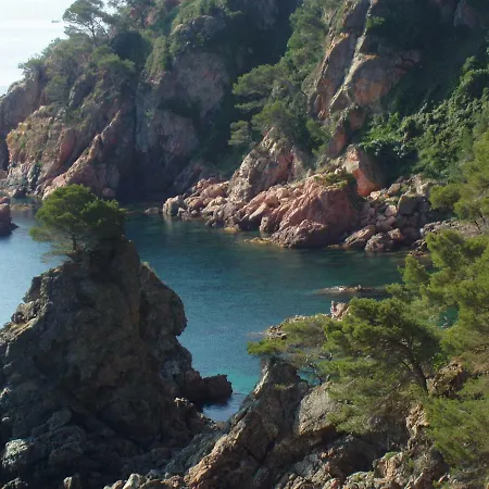 Atico Con Terraza Y Solarium Centro, Reformado Palafrugell